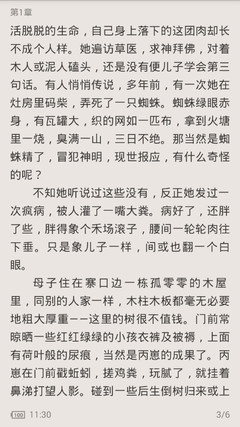 现在菲律宾商务签好办理吗(商务签攻略)